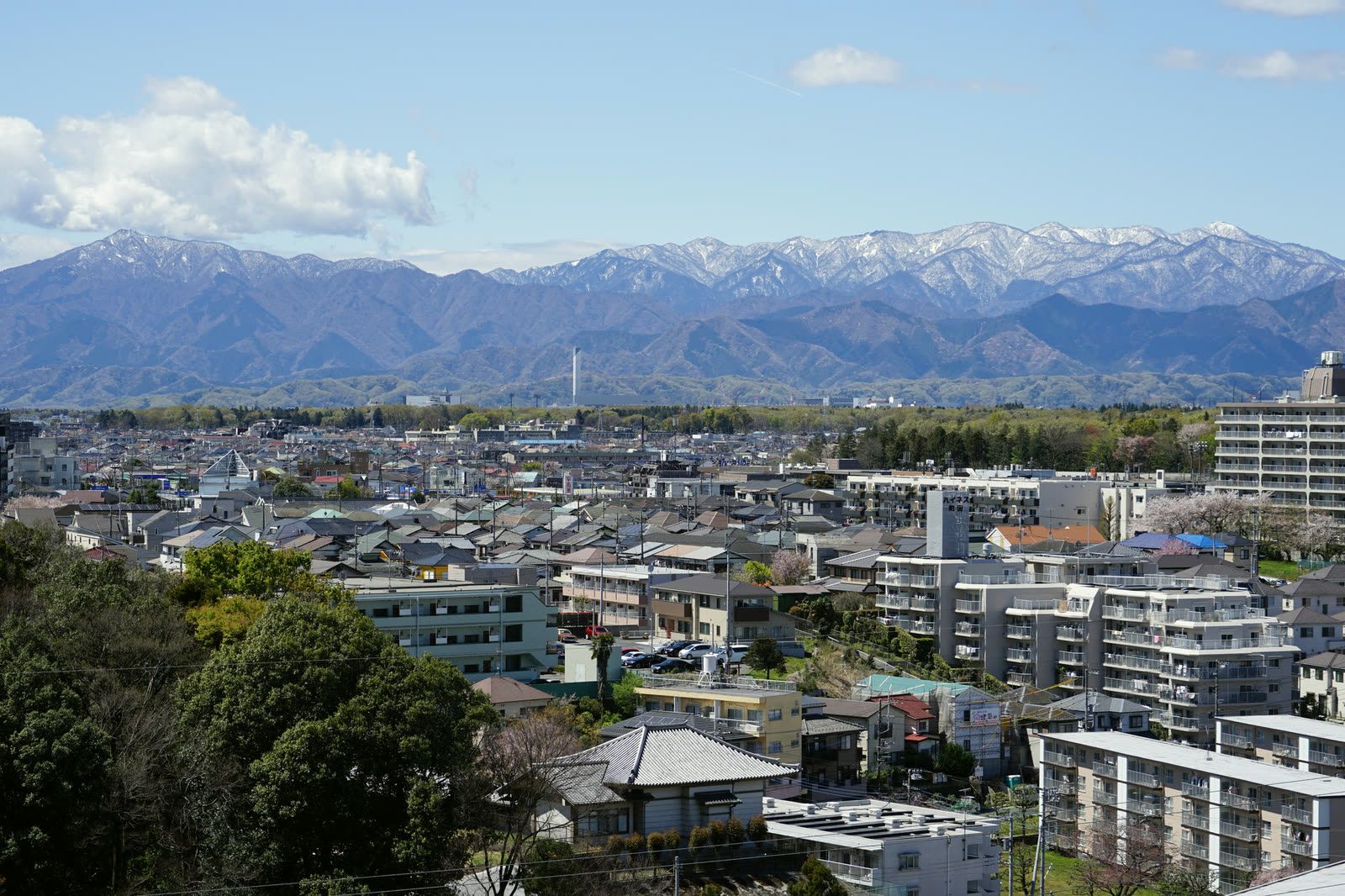 東京都町田市の街並みと丹沢の山並み