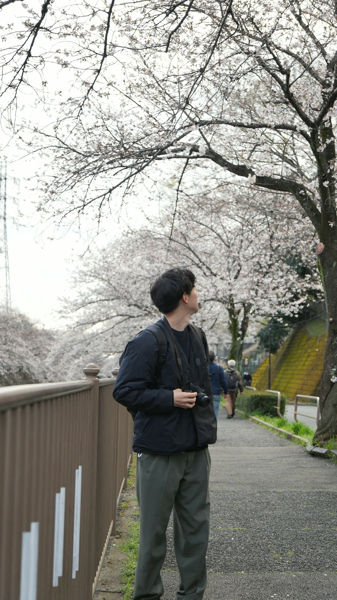 町田・恩田川の桜並木で撮影する代表